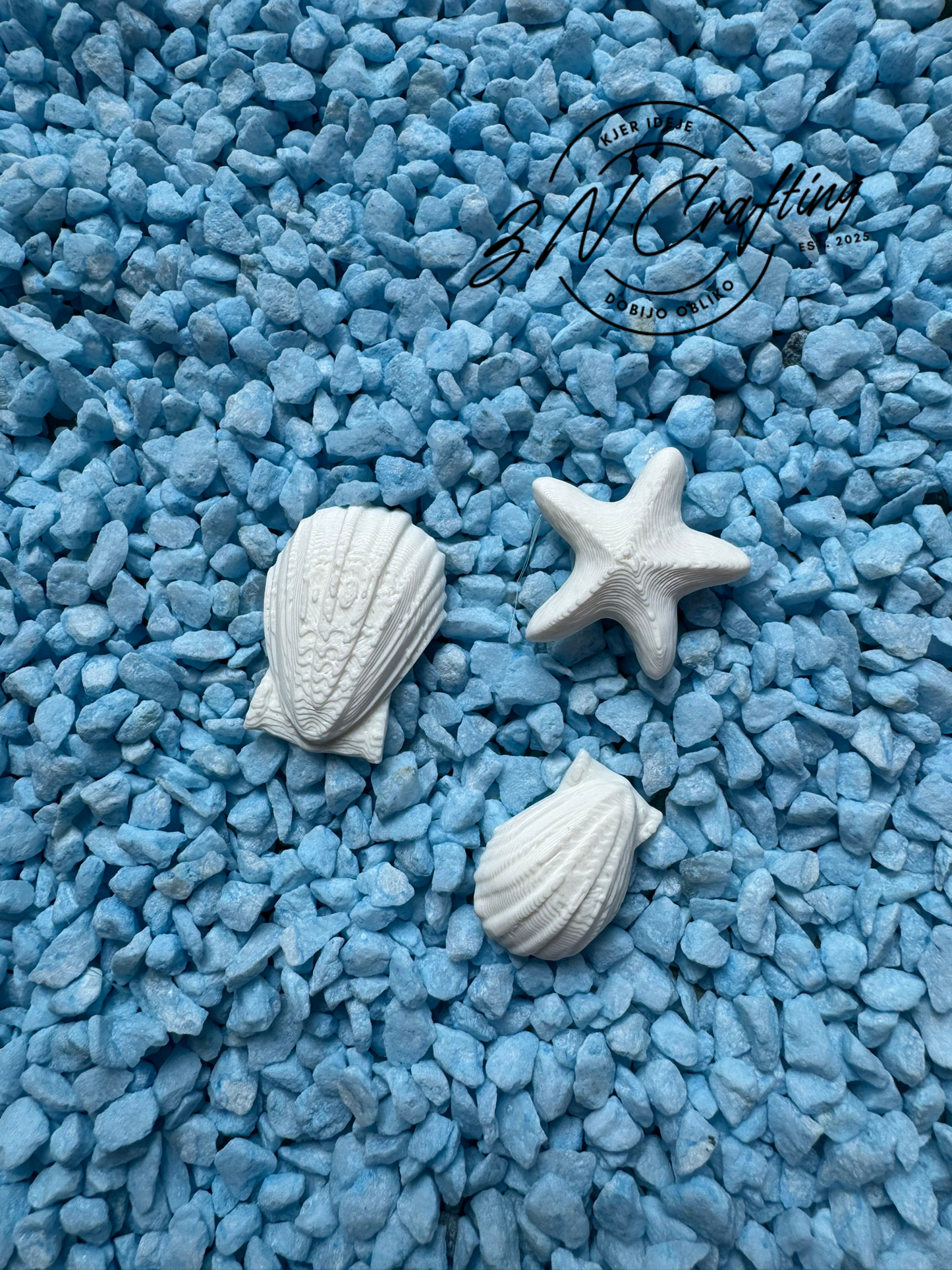 🐚 Morski Zakladki