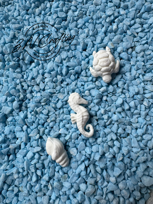 🐚 Morski Trio Prijateljev
