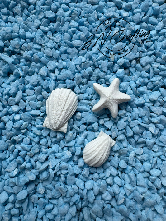 🐚 Morski Zakladki