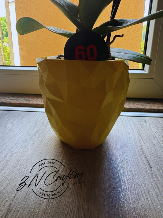 🌸 Lonček za orhidejo – eleganca, ki poudari naravno lepoto
