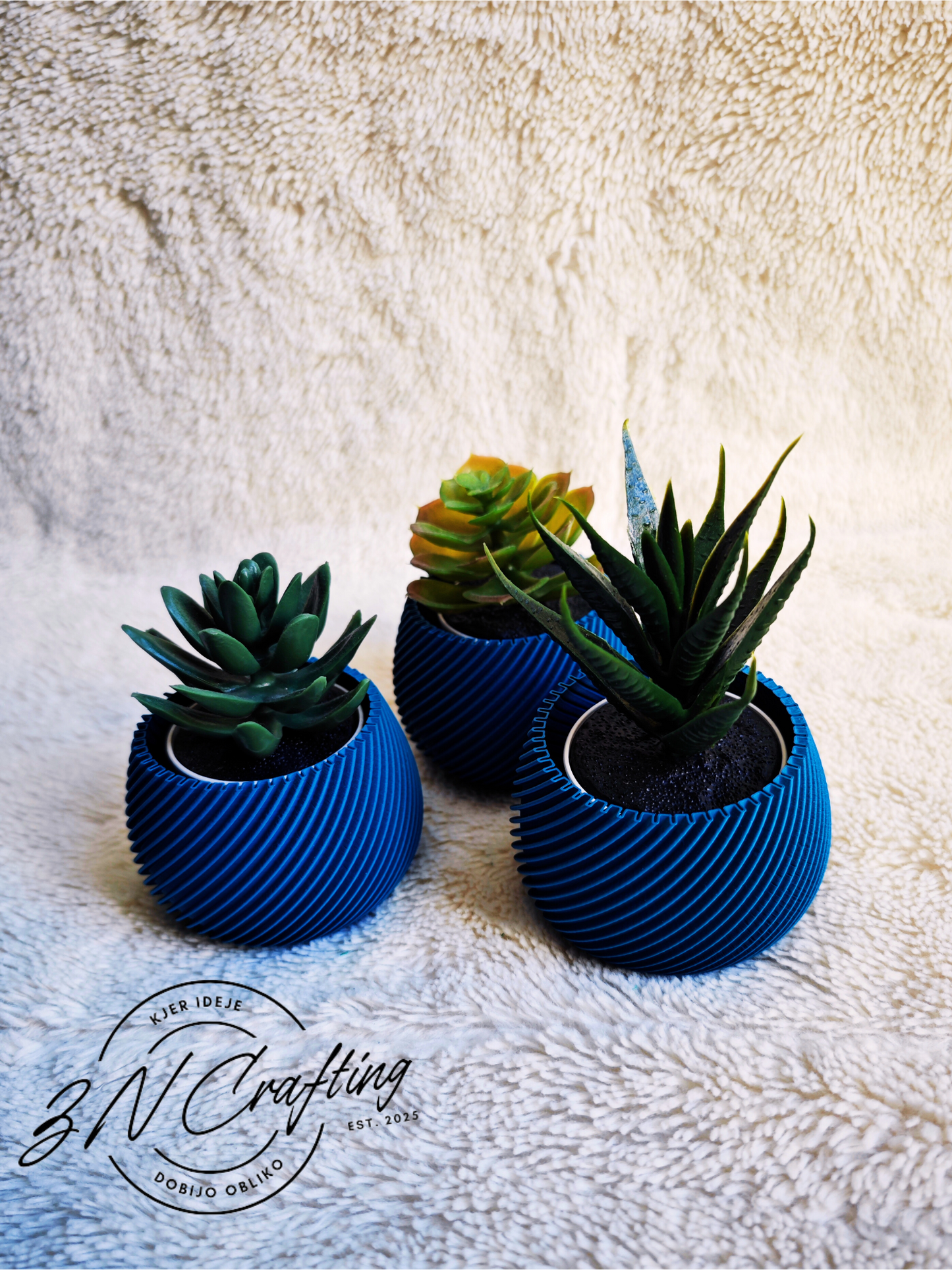 🌿 Mini Oaza